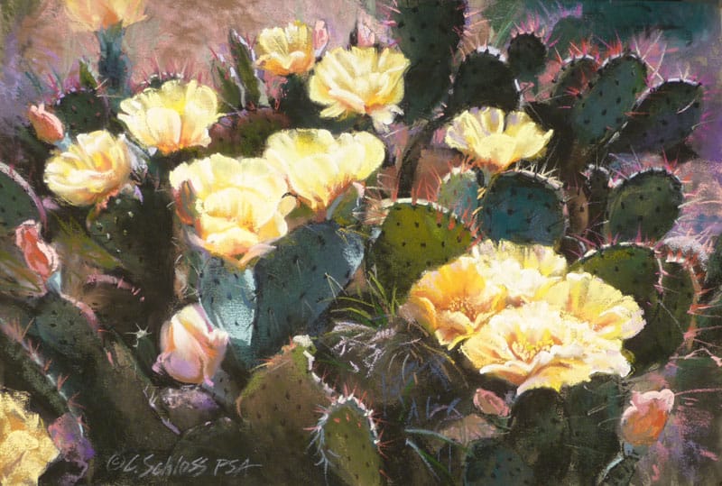 Prickly Pears in Bloom